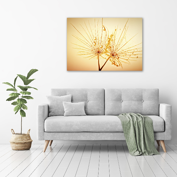 Glazen schilderij Paardenbloemzaden