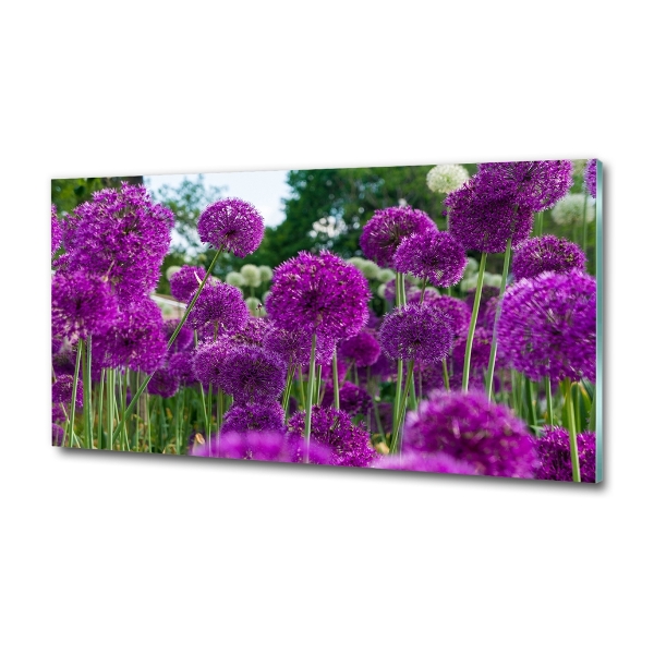 Schilderij op glas Knoflookbloemen