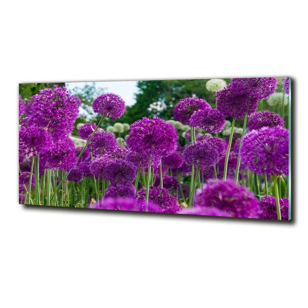 Schilderij op glas Knoflookbloemen