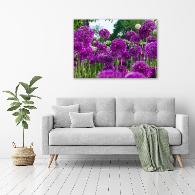 Schilderij op glas Knoflookbloemen