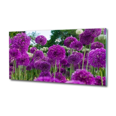Schilderij op glas Knoflookbloemen