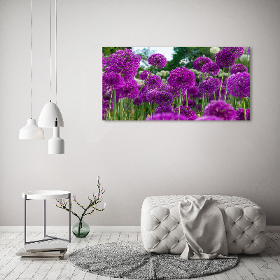Schilderij op glas Knoflookbloemen