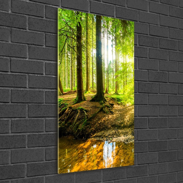 Verticale foto op glas De zon in het bos