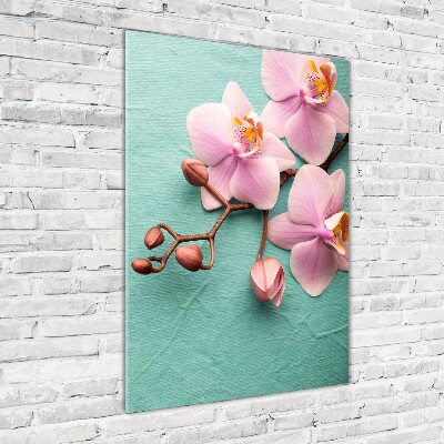 Verticale foto op glas Roze orchidee