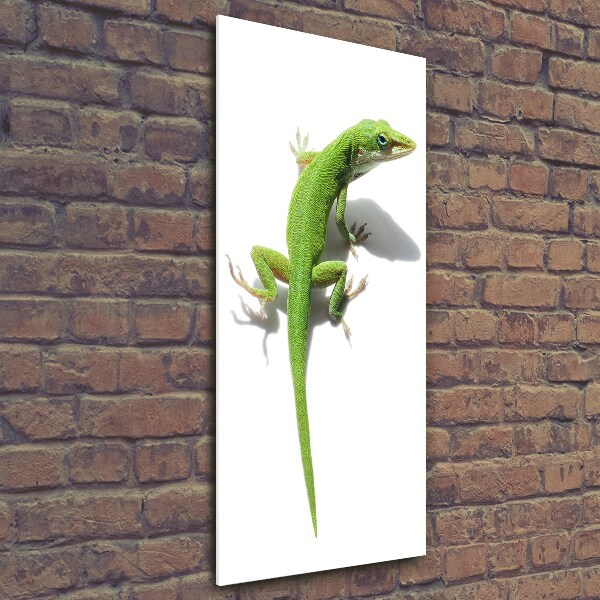 Verticale foto op glas Groene hagedis