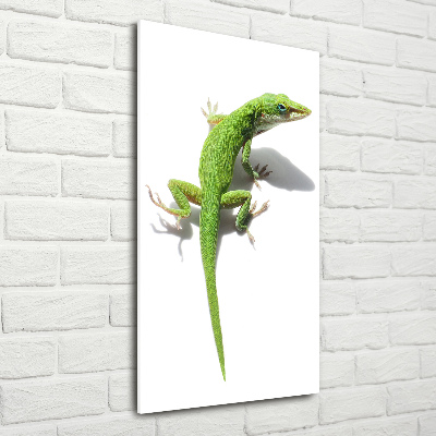 Verticale foto op glas Groene hagedis