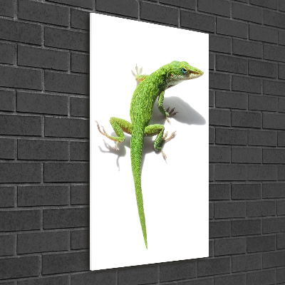 Verticale foto op glas Groene hagedis