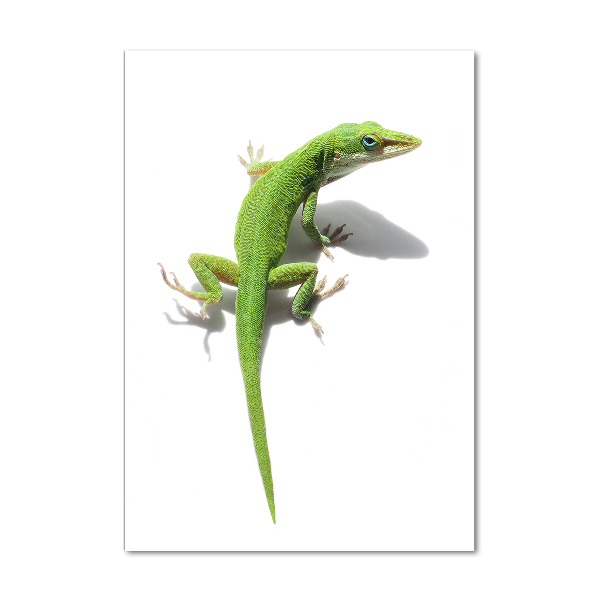 Verticale foto op glas Groene hagedis
