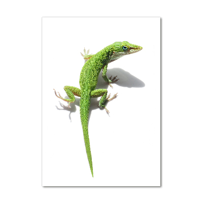 Verticale foto op glas Groene hagedis
