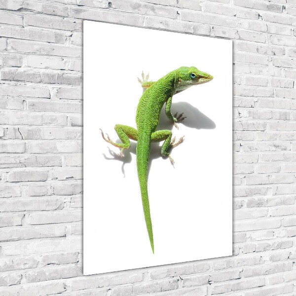 Verticale foto op glas Groene hagedis