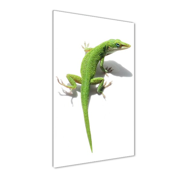 Verticale foto op glas Groene hagedis