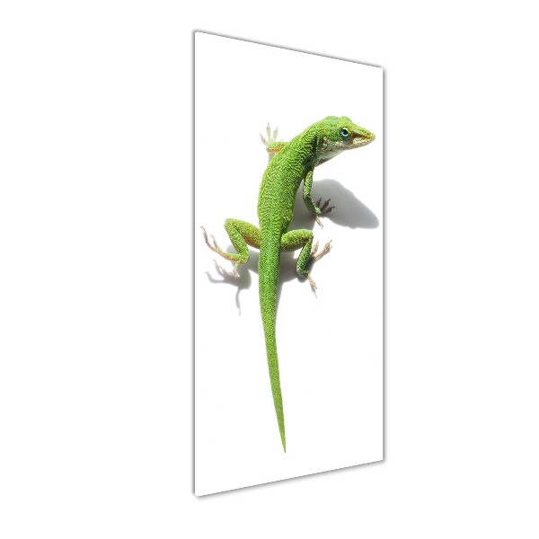 Verticale foto op glas Groene hagedis