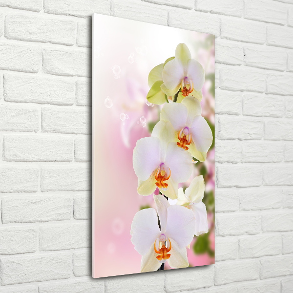 Verticale glasfoto Witte orchidee