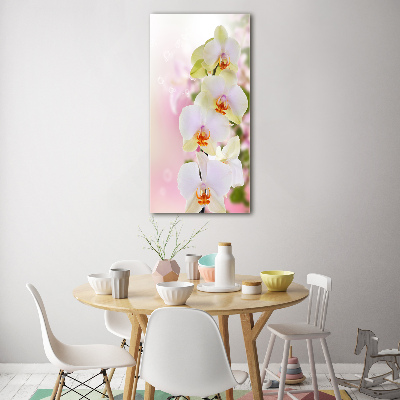 Verticale glasfoto Witte orchidee