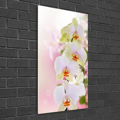 Verticale glasfoto Witte orchidee