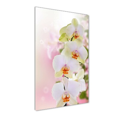 Verticale glasfoto Witte orchidee