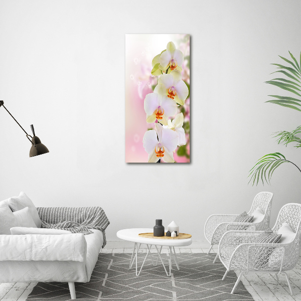 Verticale glasfoto Witte orchidee
