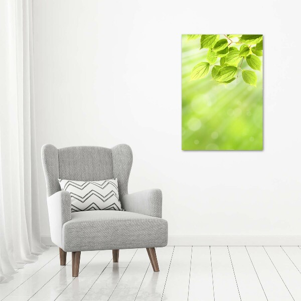 Verticale foto op glas Groene bladeren