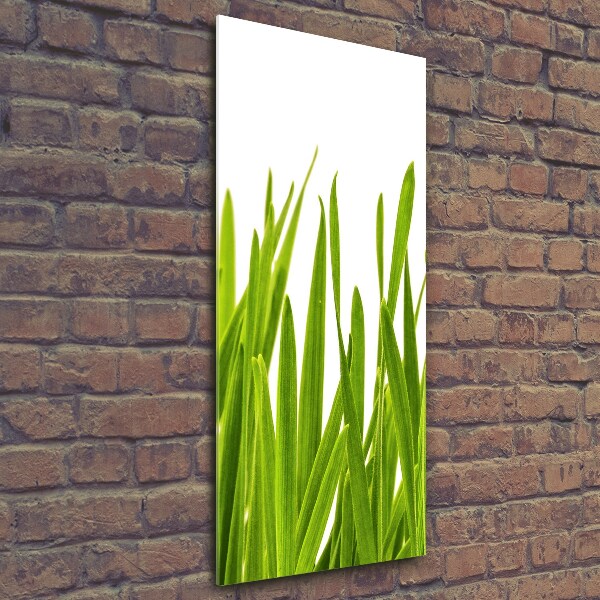 Verticale foto op glas Groen gras