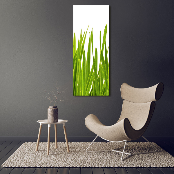Verticale foto op glas Groen gras