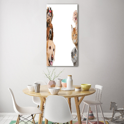 Verticale glasfoto Honden en katten