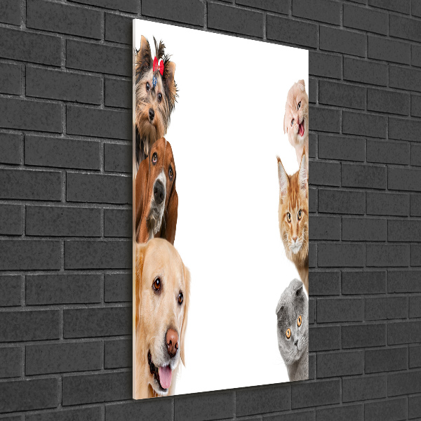 Verticale glasfoto Honden en katten