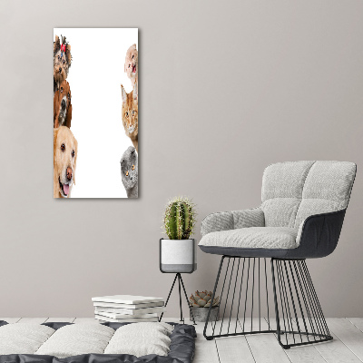 Verticale glasfoto Honden en katten