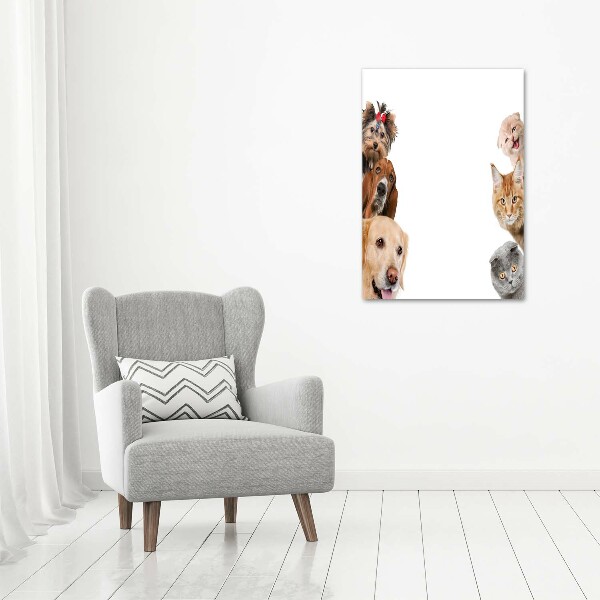 Verticale glasfoto Honden en katten