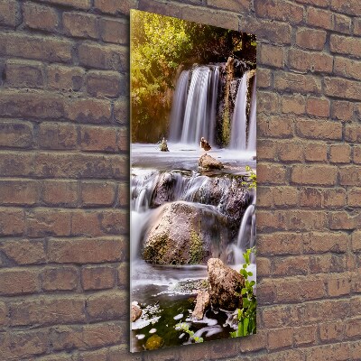 Verticale glasfoto Waterval