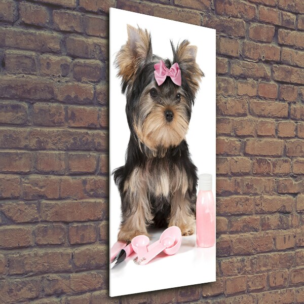 Verticale foto op glas Yorkshire cosmetica