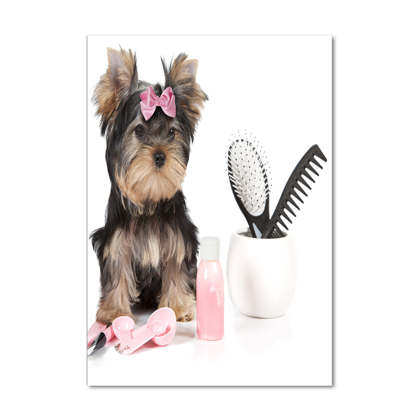 Verticale foto op glas Yorkshire cosmetica