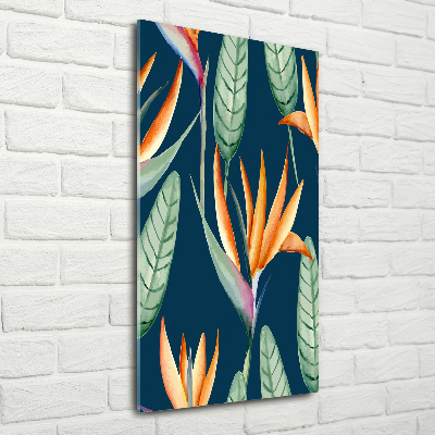 Verticale foto op glas Strelitzia reginae