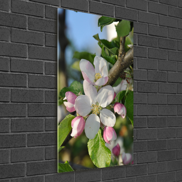 Verticale foto op glas Kersenbloesems