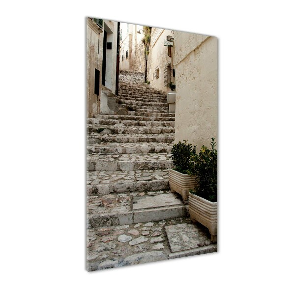 Foto obraz szklany pionowy Urokliwa uliczka