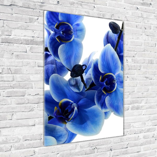 Verticale foto op glas Blauwe orchidee