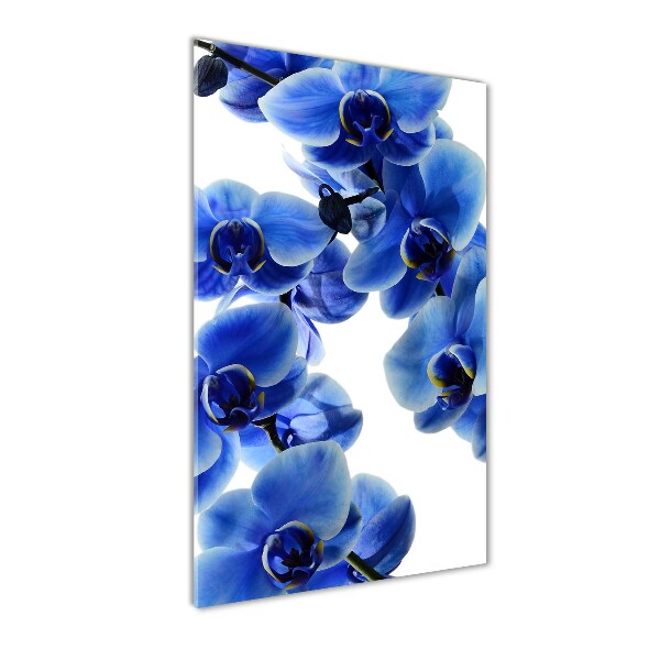 Verticale foto op glas Blauwe orchidee