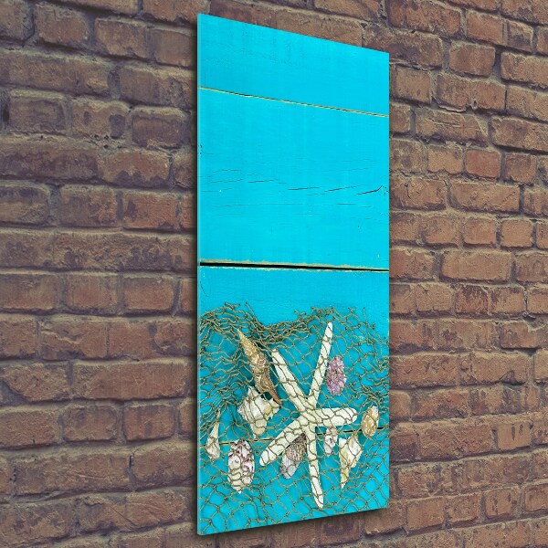 Foto obraz na szkle pionowy Muszle i rozgwiazda