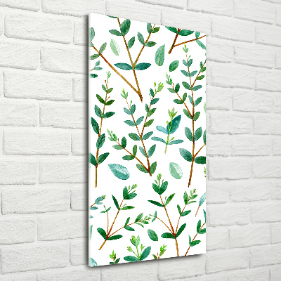 Foto obraz na szkle pionowy Gałązki eukaliptusa