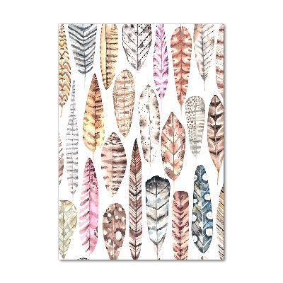 Foto obraz zdjęcie na szkle pionowy Kolorowe pióra