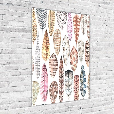 Foto obraz zdjęcie na szkle pionowy Kolorowe pióra