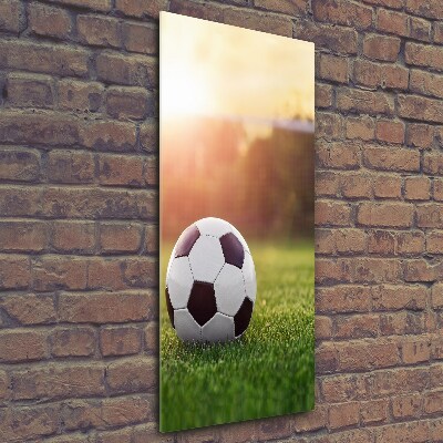 Verticale foto op glas Voetbal