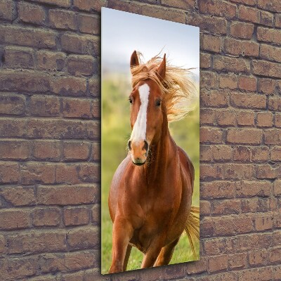 Verticaal glasschilderij Een galopperend paard