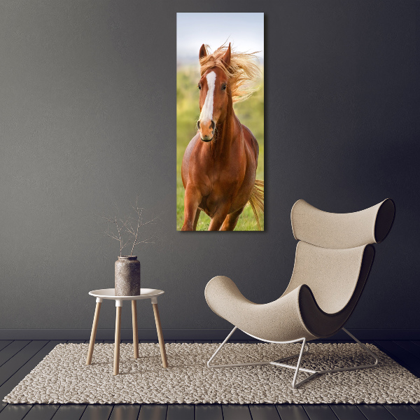 Verticaal glasschilderij Een galopperend paard