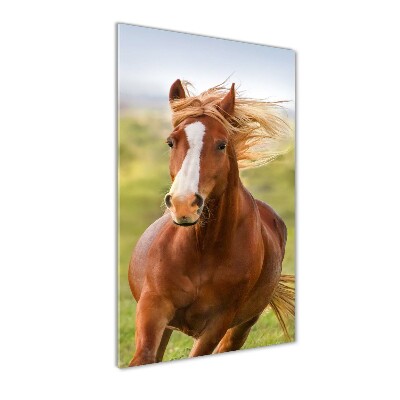 Verticaal glasschilderij Een galopperend paard