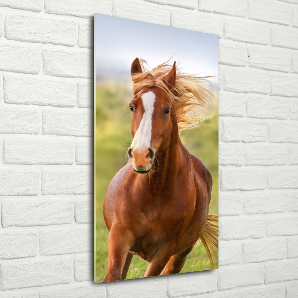 Verticaal glasschilderij Een galopperend paard