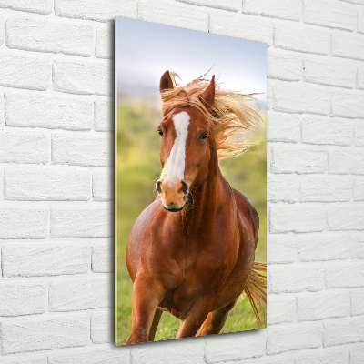 Verticaal glasschilderij Een galopperend paard