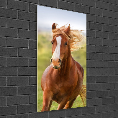 Verticaal glasschilderij Een galopperend paard