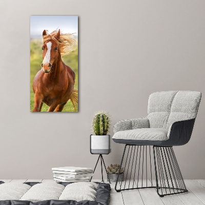 Verticaal glasschilderij Een galopperend paard