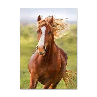 Verticaal glasschilderij Een galopperend paard