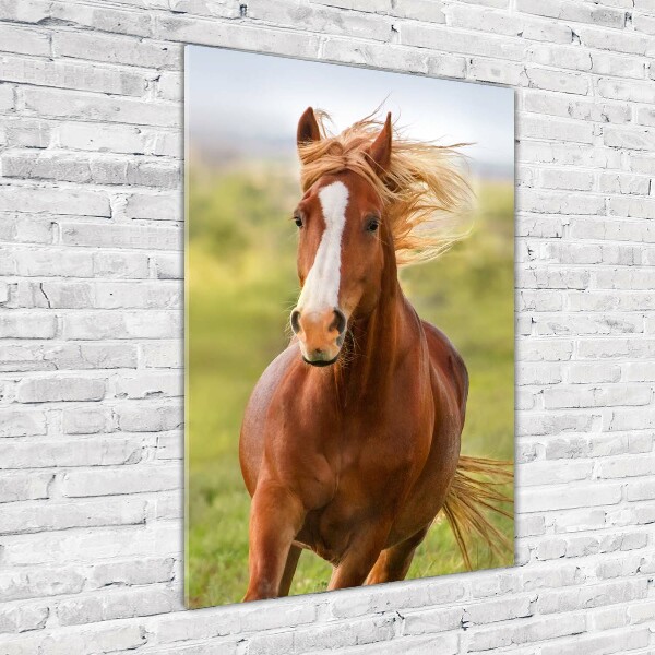 Verticaal glasschilderij Een galopperend paard